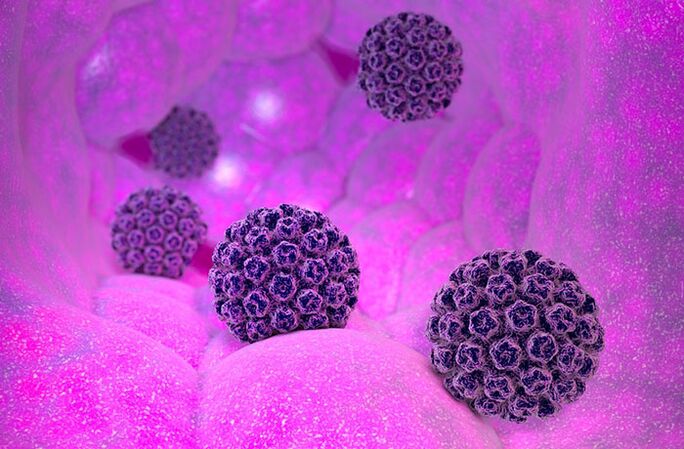 Lidský papilomavirus s onkogenními a neonkogenními genotypy