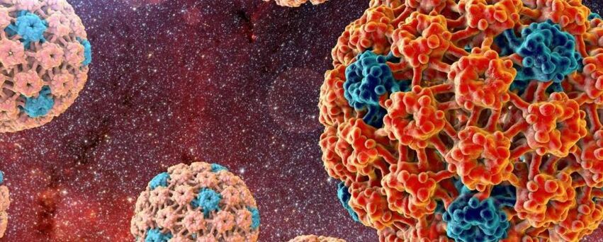 Lidský papilomavirus, který způsobuje výskyt novotvarů na kůži